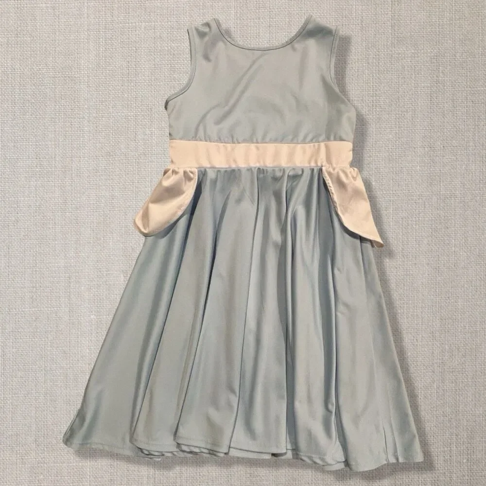 Little Adventures Cinderella Princess Dress Blue White Costume Girls Size 8
